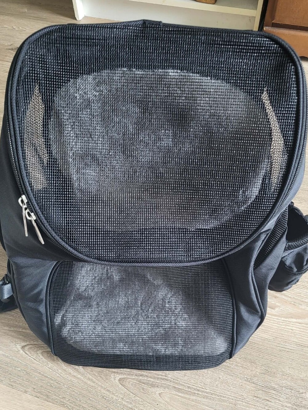 Hotel Doggy "On The Go" Pet Carrier Backpack